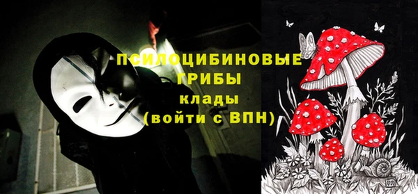 PSILOCYBIN Беломорск