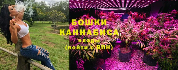 PSILOCYBIN Беломорск