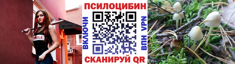 Псилоцибиновые грибы мицелий  Купить закладки  Сольвычегодск 