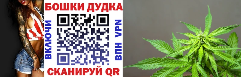 Марихуана планчик  Купить закладки  Сольвычегодск 